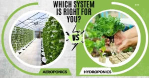 Read more about the article Aeroponics vs Hydroponics: Which System is Best for You?