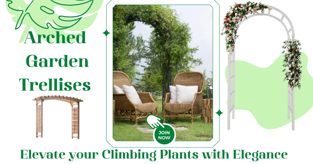 Read more about the article Arched garden trellises : Elevate your climbing plants with elegance