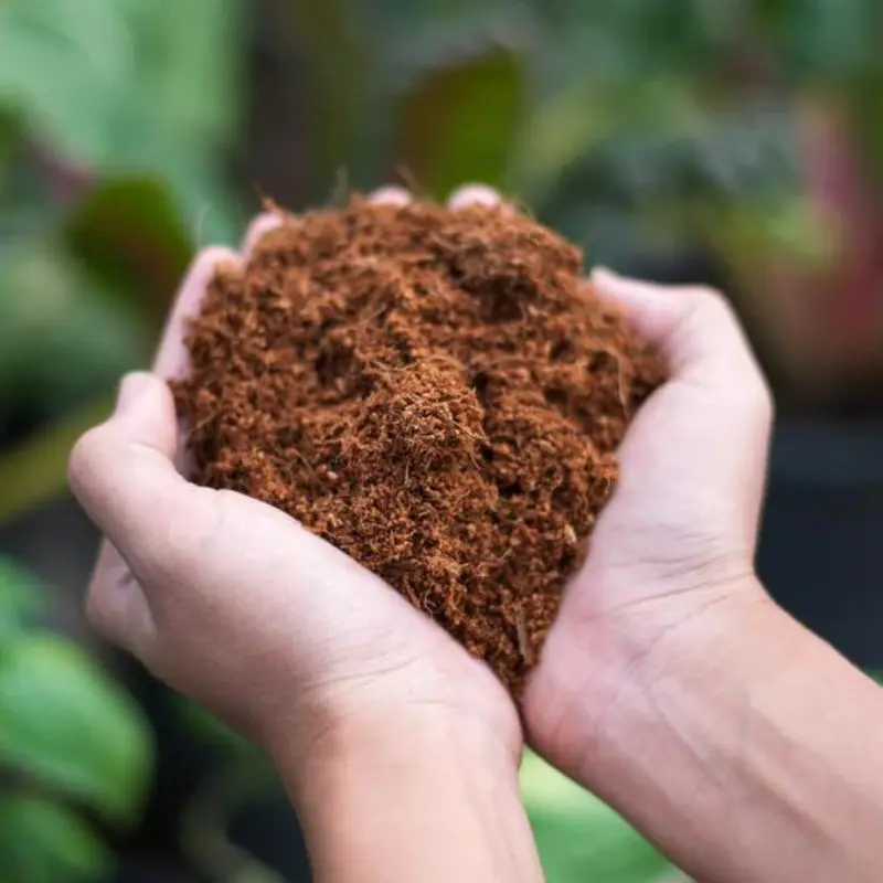 Coco Coir Hydroponic Seeds