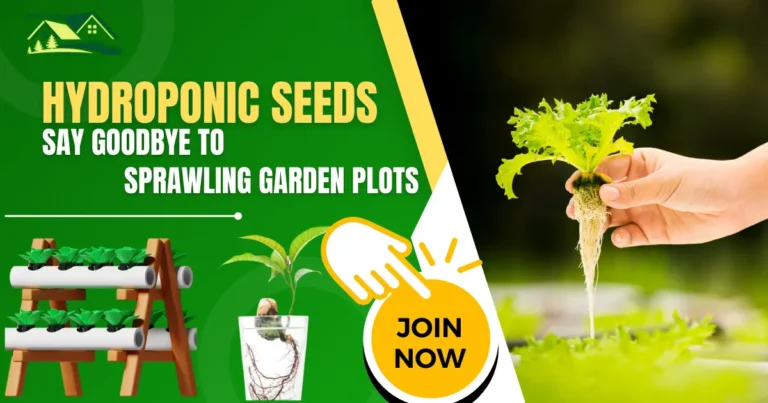 Hydroponic seeds  A Comprehensive Guide to Choosing and Growing