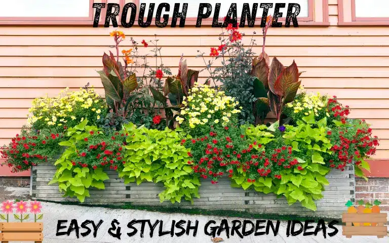 Read more about the article Trough Planter: Easy & Stylish Garden Ideas