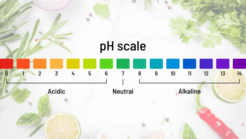 Échelle de pH : acide, neutre, alcalin. Comprendre l'acidité et l'alcalinité. Aliments alcalins.